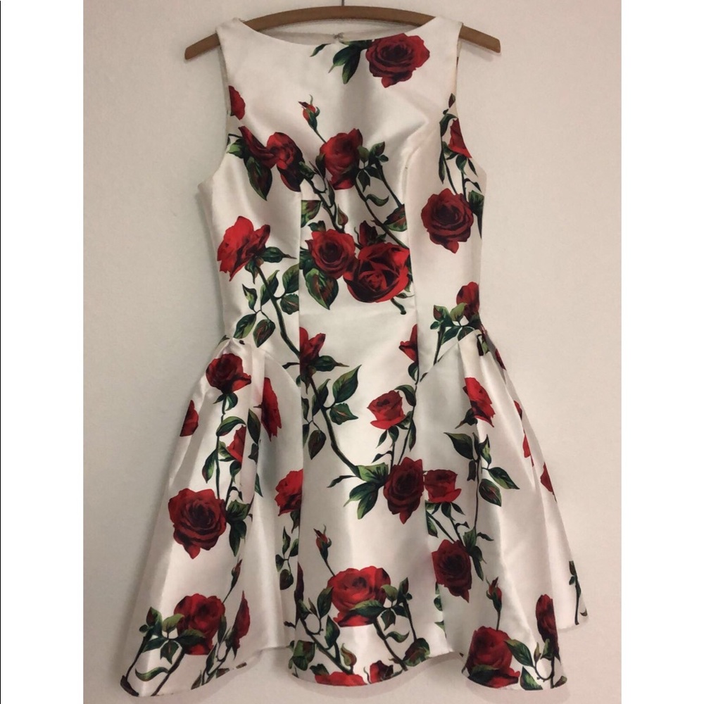 David’s Bridal Homecoming Dress
